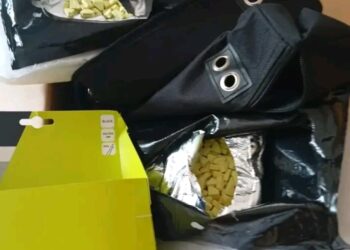 “US ICE Arrests Nigerian National in Los Angeles Over Alleged Identity Theft and Bank Fraud”