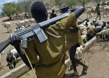 Fulani Group Urges U.S. to Avoid Ethnic Profiling in Nigeria’s Security Crisis
