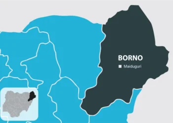 Boko Haram Abducts Students in Borno School Attack
