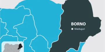 Boko Haram Abducts Students in Borno School Attack