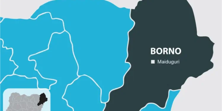 Boko Haram Abducts Students in Borno School Attack