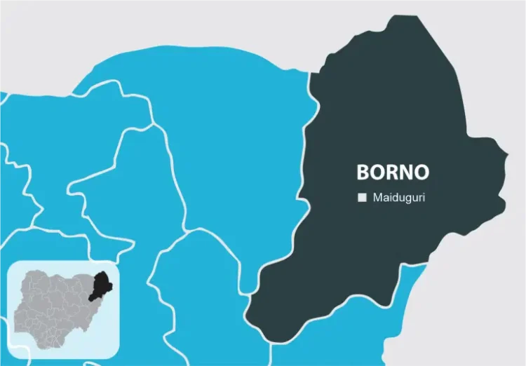 Boko Haram Abducts Students in Borno School Attack