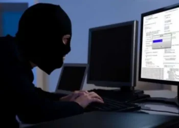 Nigeria Faces N12bn Annual Cybercrime Losses as 4,000 Attacks Hit Weekly — NDPC Warns of Growing Digital Risk