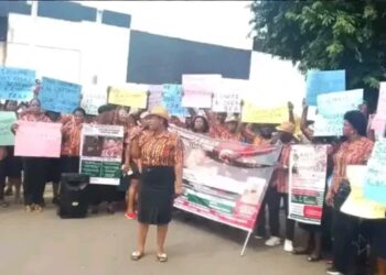 “Mike Bamiloye Defends Adeboye Amid Protest Debate, Says Expecting 84 Year Old Cleric to Lead Demonstrations Is Unrealistic”