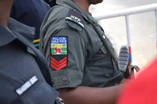 “Anambra Court Remands Native Doctor Over Alleged Violation of State Security Law”