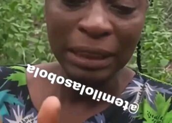 “Borno Counterterrorism Breakthrough: Lawmaker Applauds Military Rescue of 360 Boko Haram Captives”