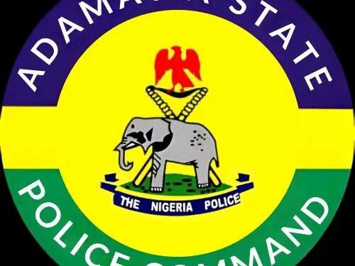 Adamawa Police Nab Two Wanted Armed Robbery Suspects in Mubi, Intensify Crackdown on Violent Crime.
