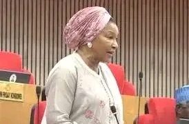 “Natasha Suspension Controversy Deepens as Senator Kingibe Says She Never Saw Committee Report”