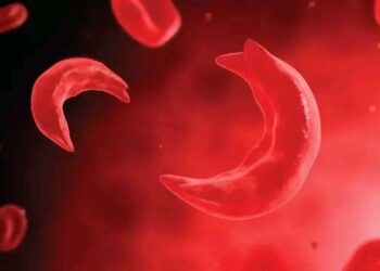 “Coalition Calls for Mandatory Genotype Testing Before Marriage to Reduce Sickle Cell Disease in Nigeria”