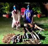 Army, DSS Uncover IPOB/ESN Arms Cache Hidden in Enugu Piggery