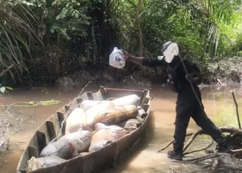 Navy Seizes 22,870 Litres of Illegal Diesel in Rivers Operation