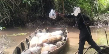 Navy Seizes 22,870 Litres of Illegal Diesel in Rivers Operation