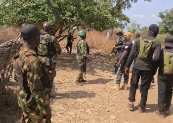 Borno: 11 More Women Freed as Ngoshe Stakeholders Deny Claims Over Rescue of 416 Captives