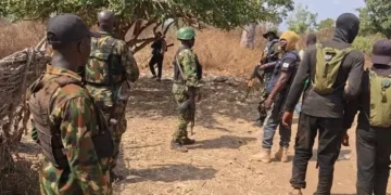 Borno: 11 More Women Freed as Ngoshe Stakeholders Deny Claims Over Rescue of 416 Captives
