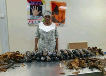 “NDLEA Intercepts 67 Year Old NigerianBritish Woman with 13kg Cocaine Concealed in Plantain Peels at Lagos Airport”