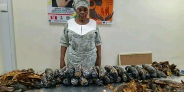 “NDLEA Intercepts 67 Year Old NigerianBritish Woman with 13kg Cocaine Concealed in Plantain Peels at Lagos Airport”