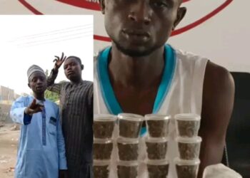 “Kano Court Jails Man Seven Years for Advertising Cannabis on Social Media as NDLEA Intensifies Online Drug Crackdown”
