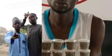 “Kano Court Jails Man Seven Years for Advertising Cannabis on Social Media as NDLEA Intensifies Online Drug Crackdown”
