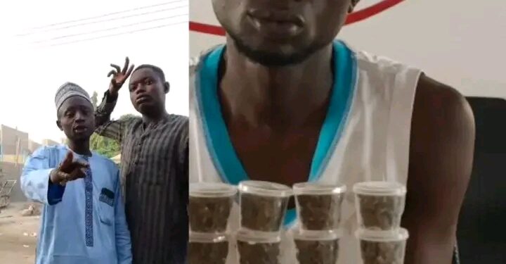“Kano Court Jails Man Seven Years for Advertising Cannabis on Social Media as NDLEA Intensifies Online Drug Crackdown”