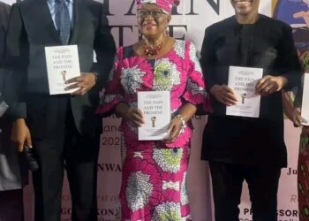 “How Ngozi Okonjo Iweala Convinced Me Not to Leave Nigeria After Political Setbacks  Ex Aviation Minister Osita Chidoka”