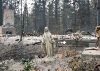 “Spokane Wildfires Trigger Mass Evacuations as Hundreds of Buildings Burn in Washington State”