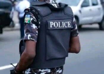 Adamawa Police Investigate Alleged Killing of Father as 30-Year-Old Suspect Is Arrested!