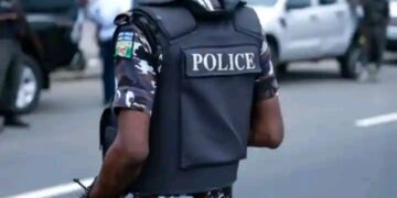 Adamawa Police Investigate Alleged Killing of Father as 30-Year-Old Suspect Is Arrested!