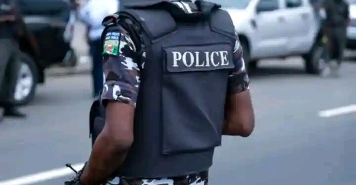 Adamawa Police Investigate Alleged Killing of Father as 30-Year-Old Suspect Is Arrested!