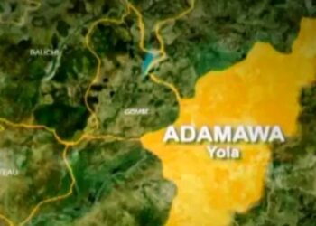 Adamawa Police Arrest 27-Year-Old Suspect Over Alleged Fatal Hotel Stabbing in Girei!