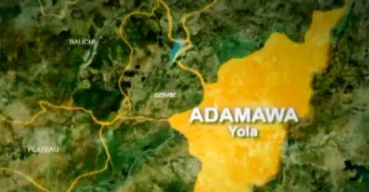 Adamawa Police Arrest 27-Year-Old Suspect Over Alleged Fatal Hotel Stabbing in Girei!