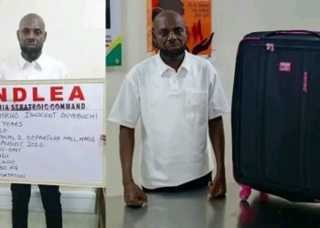 NDLEA Arrests India-Bound Businessman With Cocaine as Lagos Drug Seizures Hit N3.6 Billion!