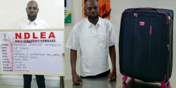 NDLEA Arrests India-Bound Businessman With Cocaine as Lagos Drug Seizures Hit N3.6 Billion!