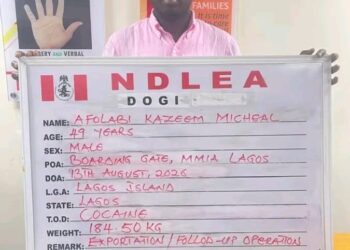 NDLEA Targets International Cocaine Network, Arrests Social Media Influencer KC Luxury in Lagos.