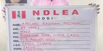 NDLEA Targets International Cocaine Network, Arrests Social Media Influencer KC Luxury in Lagos.