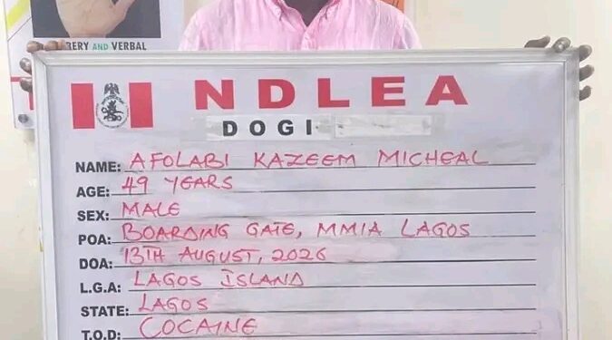 NDLEA Targets International Cocaine Network, Arrests Social Media Influencer KC Luxury in Lagos.