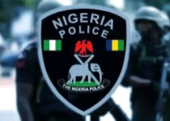 Adamawa Police Arrest 31 Year Old Over Alleged Cyber bullying of First Class Chief.