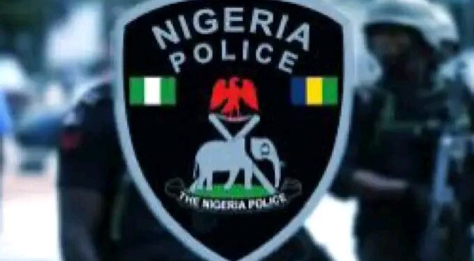 Adamawa Police Arrest 31 Year Old Over Alleged Cyber bullying of First Class Chief.