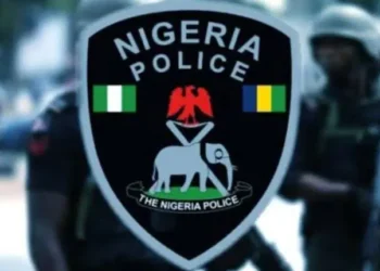 Police Bust Motorcycle, Car Theft Syndicate In Benue, Arrest Five Suspects