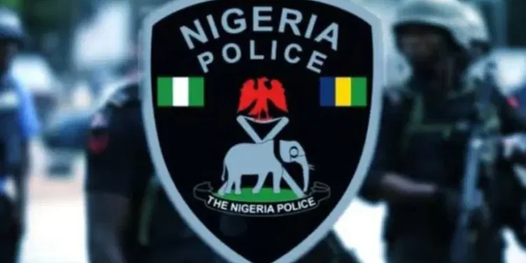 Police Bust Motorcycle, Car Theft Syndicate In Benue, Arrest Five Suspects
