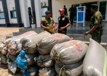 Navy don  Hand Over 19 Bags wey Dem believe say na Cannabis Give NDLEA for Anambra.