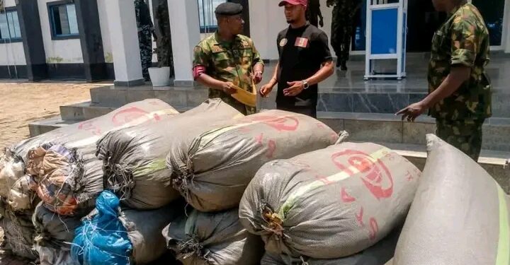 Navy don  Hand Over 19 Bags wey Dem believe say na Cannabis Give NDLEA for Anambra.