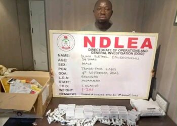 NDLEA Arrest Man Wey Dem believe say E Hide Cocaine Business Behind Herbal Tea Trade.