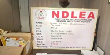 NDLEA Arrest Man Wey Dem believe say E Hide Cocaine Business Behind Herbal Tea Trade.