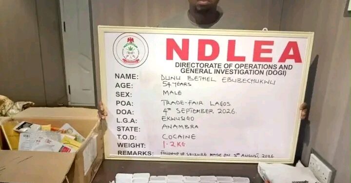 NDLEA Arrest Man Wey Dem believe say E Hide Cocaine Business Behind Herbal Tea Trade.