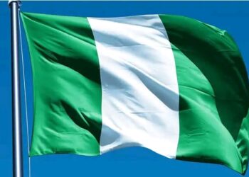 Nigerian Passport Holders Fit Apply for eVisa to 54 Countries as Online Travel Access Grows!