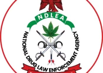 NDLEA, Army Destroy Two Cannabis Farms in Edo With Estimated 1,360kg Yield!