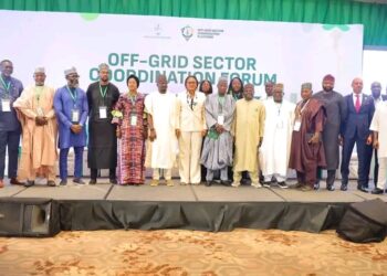 REA Pushes Unified Stakeholder Strategy to Accelerate Electricity Access Across Nigeria