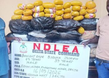NDLEA don catch one guy wey dey act like police officer, dem find 292kg cannabis for Delta.