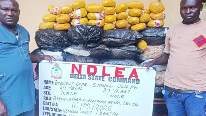 NDLEA don catch one guy wey dey act like police officer, dem find 292kg cannabis for Delta.