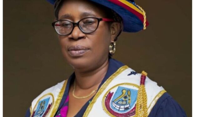One Year afta her appointment, the things wey the Vice Chancellor of Ambrose Alli University, AAU Ekpoma don achieve don dey show. 